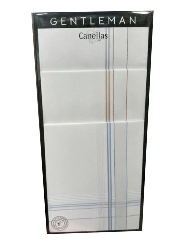 Pañuelo caballero fondo blanco.