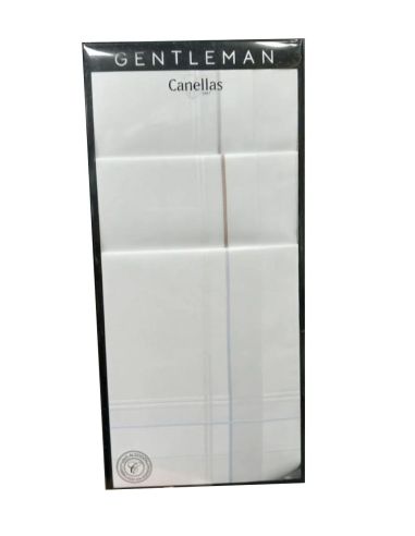 Pañuelo caballero fondo blanco.